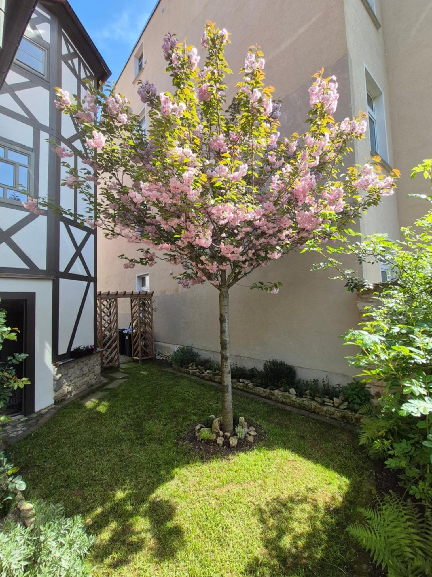 Aussergewoehnliches, Historisches, Spaetgotisches Wohnhaus Von 1519, Gries 5 Gera Eksteriør billede